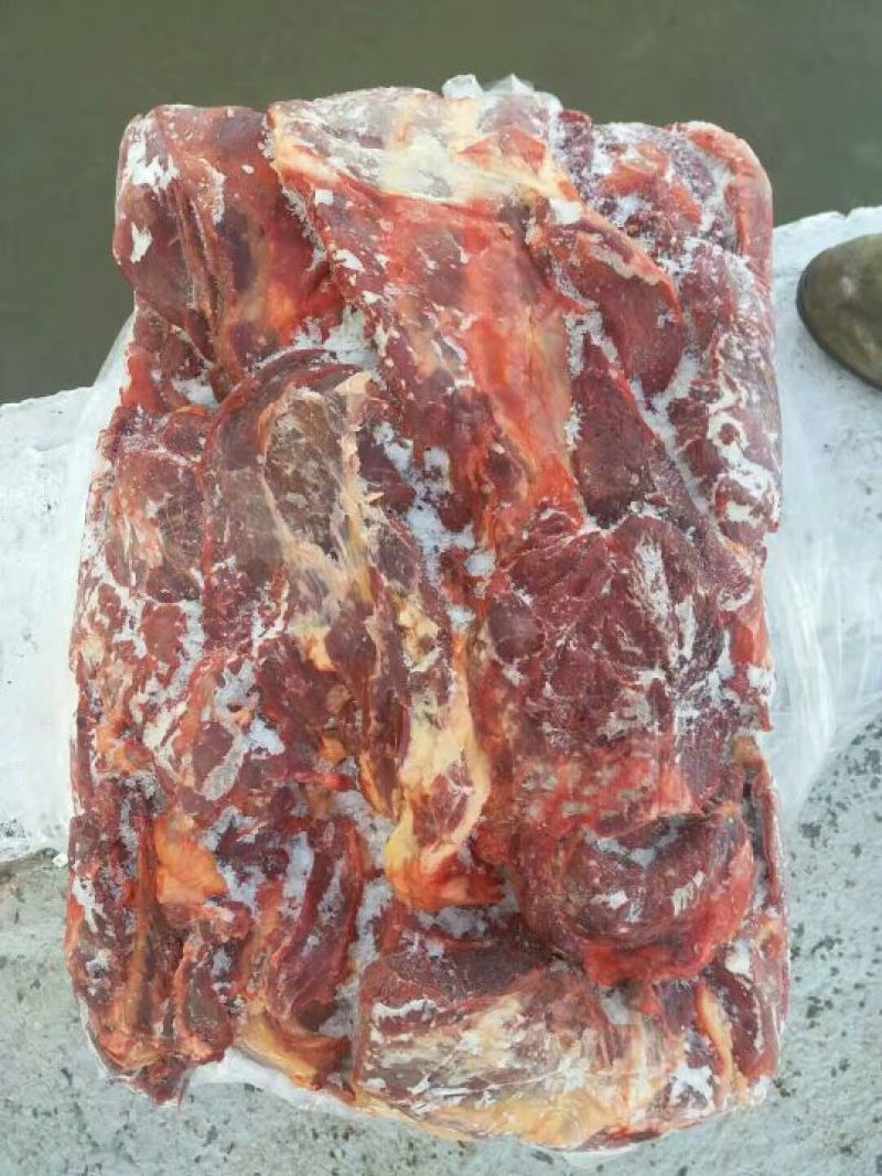 马肉冷冻