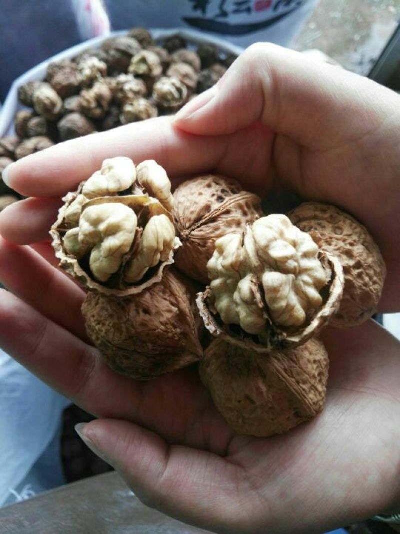 薄皮核桃云南大理漾濞老品种红桐子大果，中果