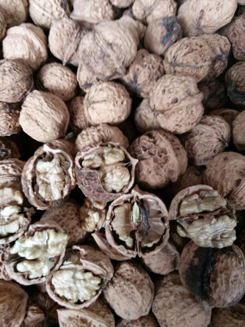 薄皮核桃云南大理漾濞老品种红桐子大果，中果