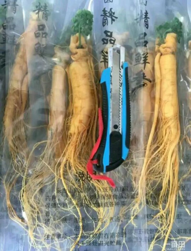 人参鲜