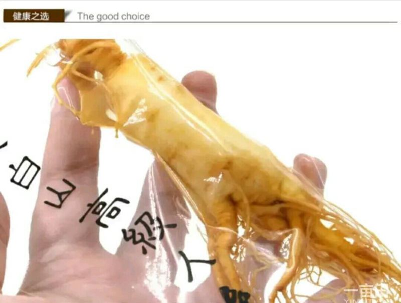 人参鲜