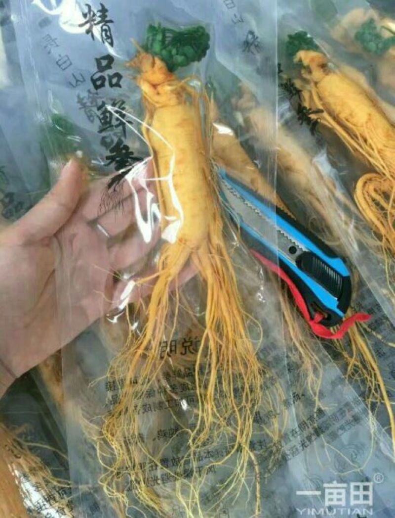 人参鲜
