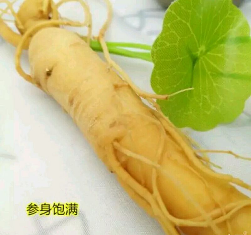 人参鲜