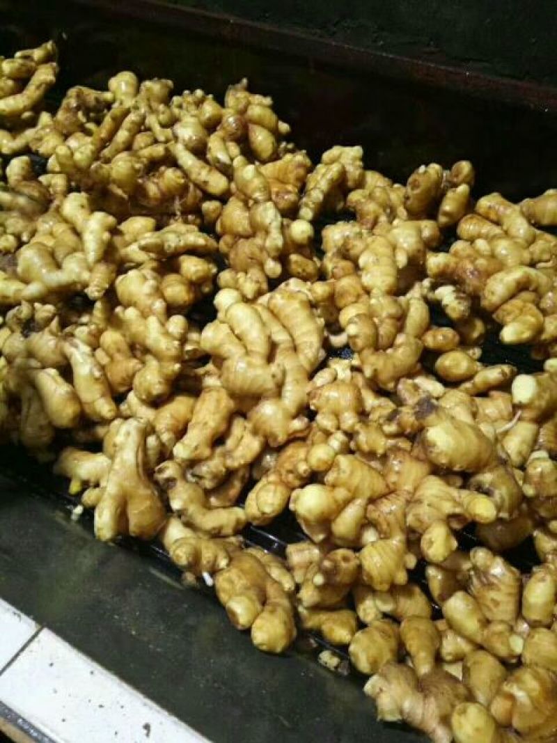 产地直销优质大黄姜黄姜货源充足质优价廉