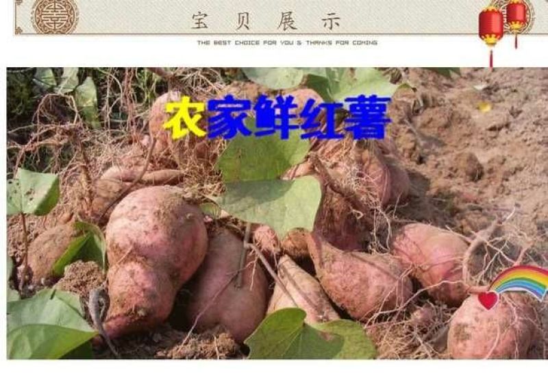 红薯粉条细粉