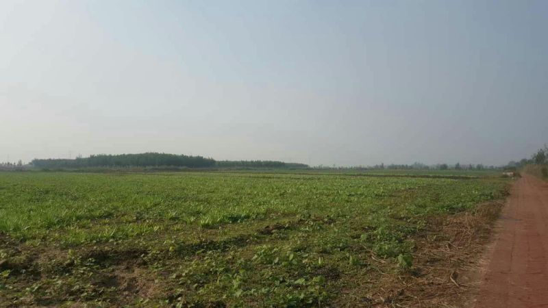 水浇地适合种植粮油、蔬菜等，电力配套，不盐碱