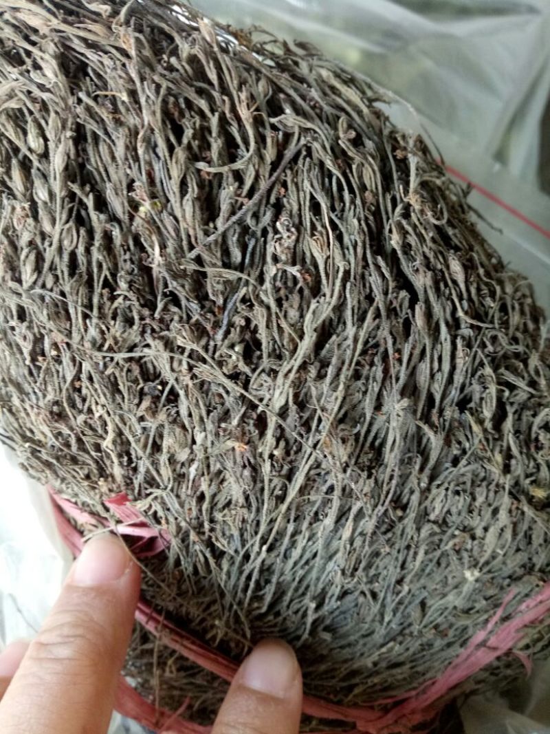 独脚金云南干货250克起包邮