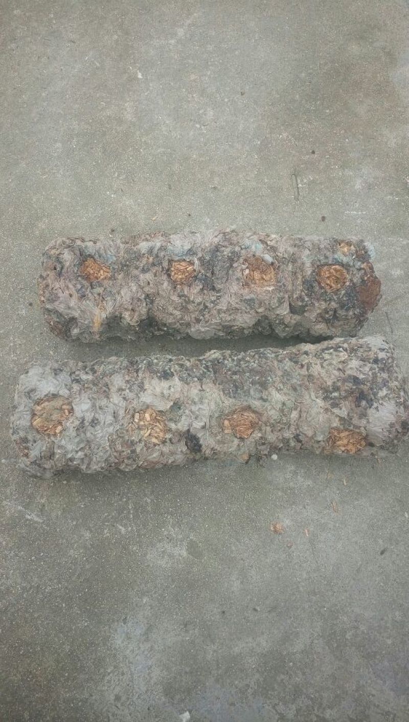 香菇菌棒/干菌棒/废锯末干菌棒/量大