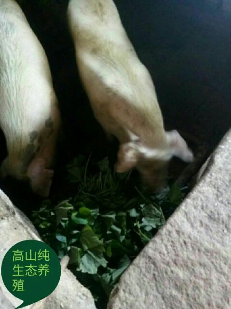香肠