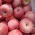【苹果】红富士苹果产地直发山东省烟台栖霞市红富士苹果