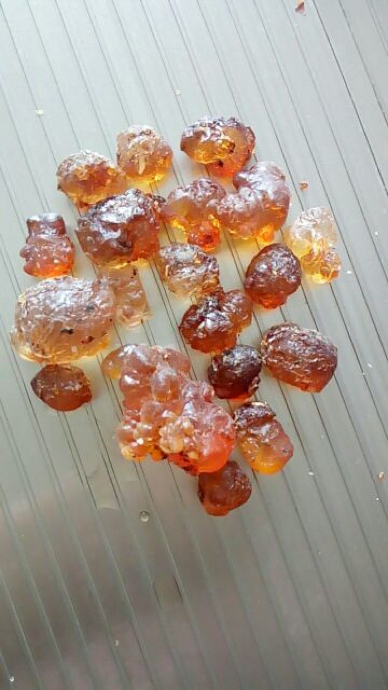 桃胶珍珠