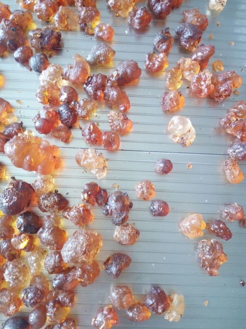 桃胶珍珠