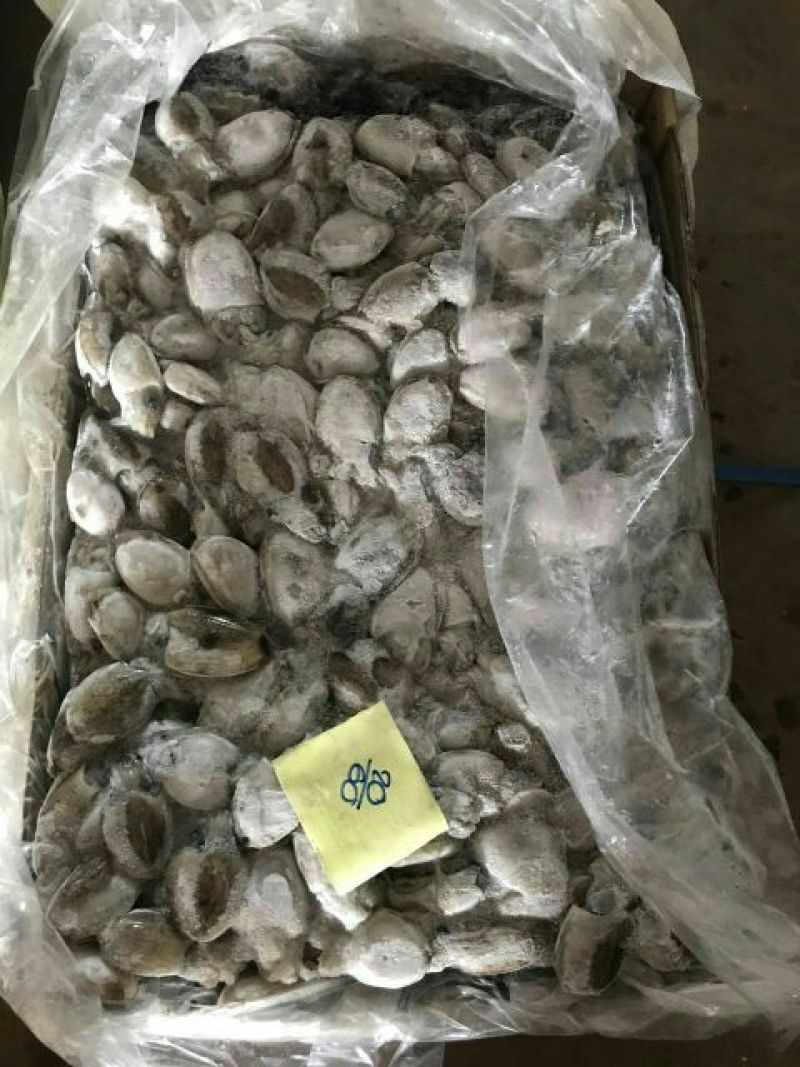 墨鱼仔