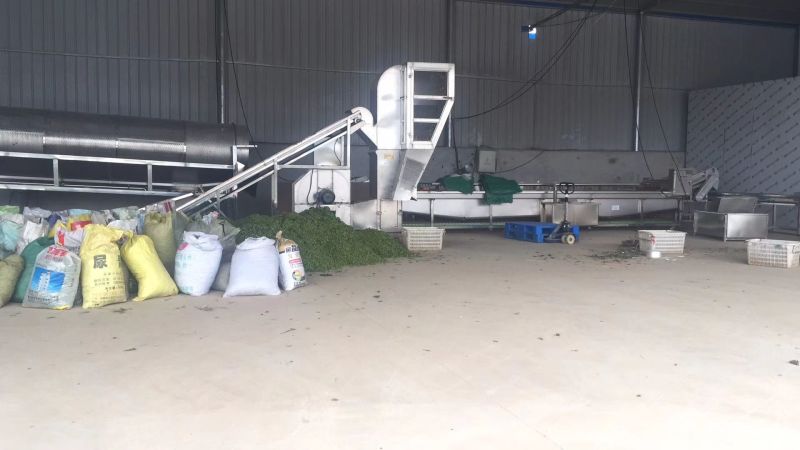 毛豆大量上市5月底大量上市