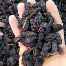 黑加仑葡萄干有核一级货，质量保证，新疆喀什货