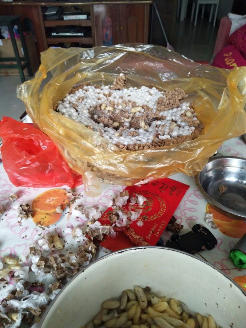 油炸蜂蛹开罐即食土蜂蜂蛹半斤装（包邮）