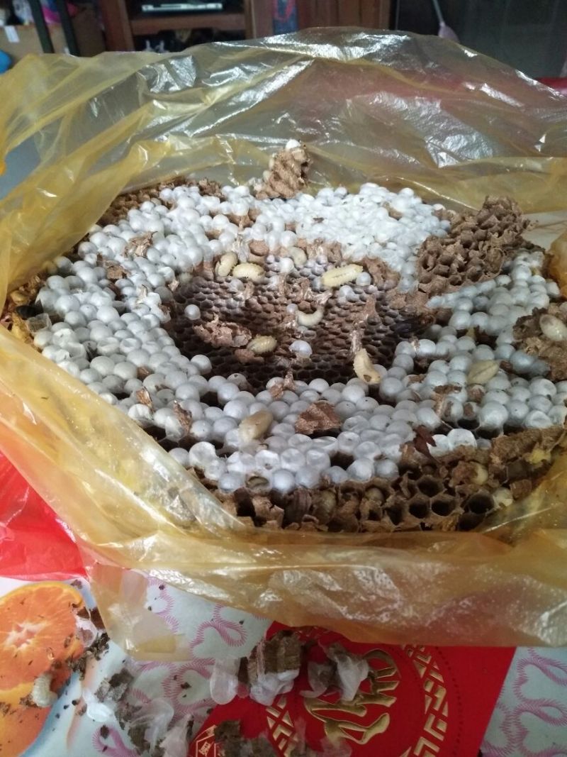 油炸蜂蛹开罐即食土蜂蜂蛹半斤装（包邮）