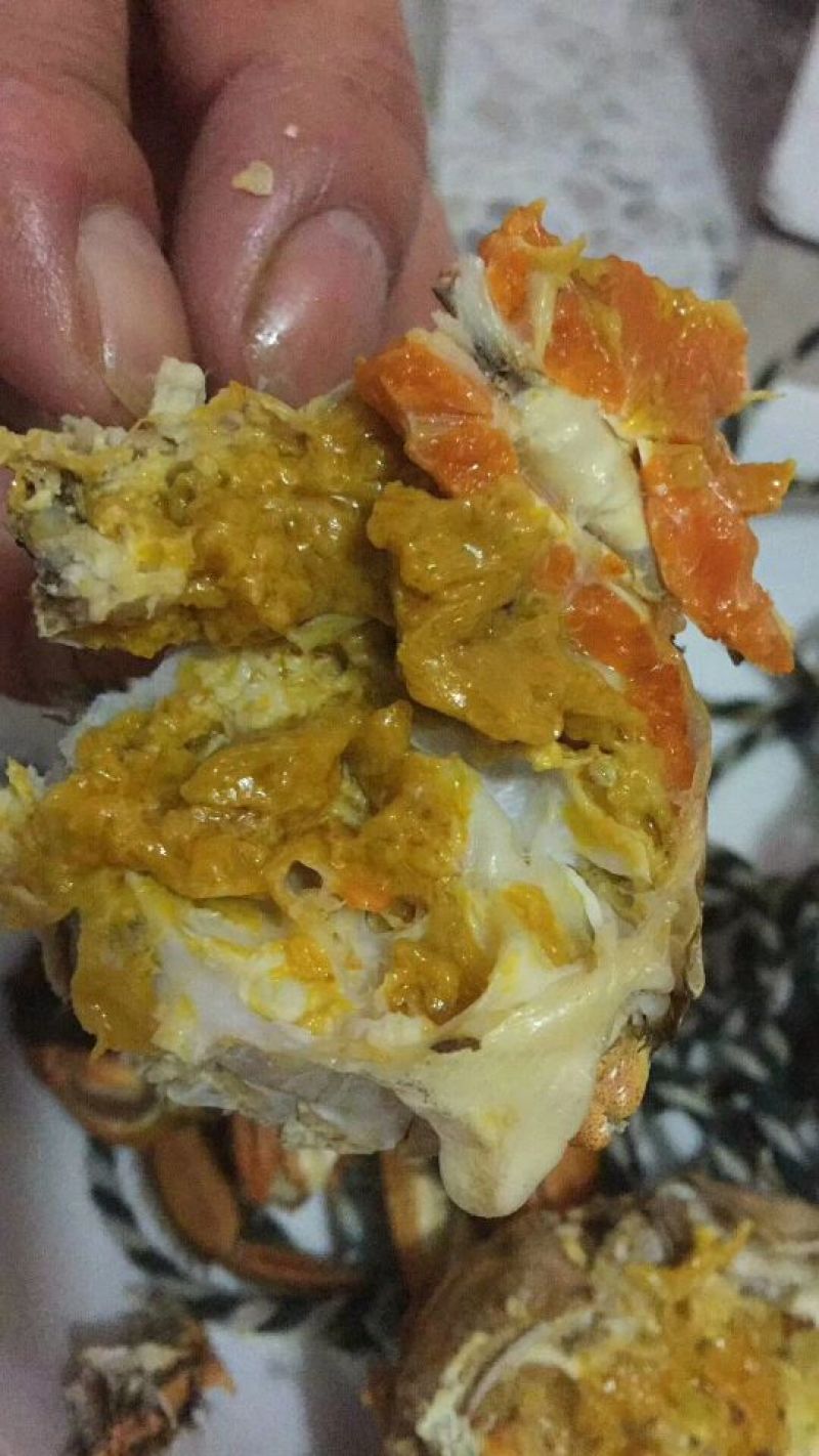 3.0两公蟹食用洪泽湖精品红膏大闸蟹
