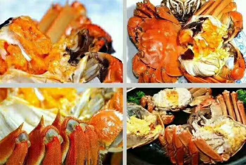 3.0两公蟹食用洪泽湖精品红膏大闸蟹