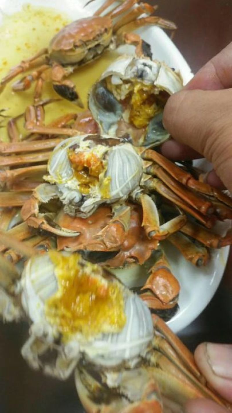 3.0两公蟹食用洪泽湖精品红膏大闸蟹