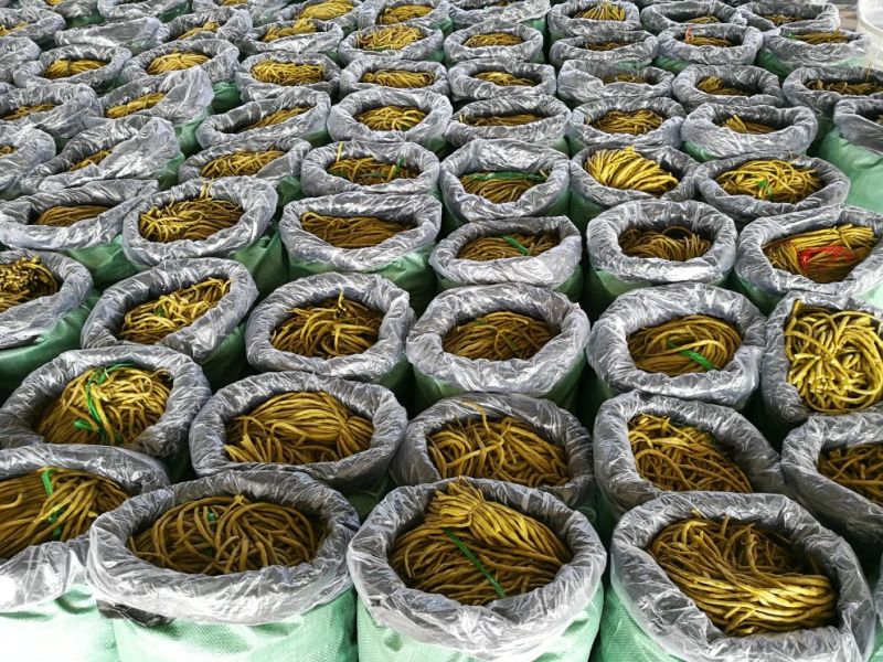 广西合浦优质长豆角大量供应