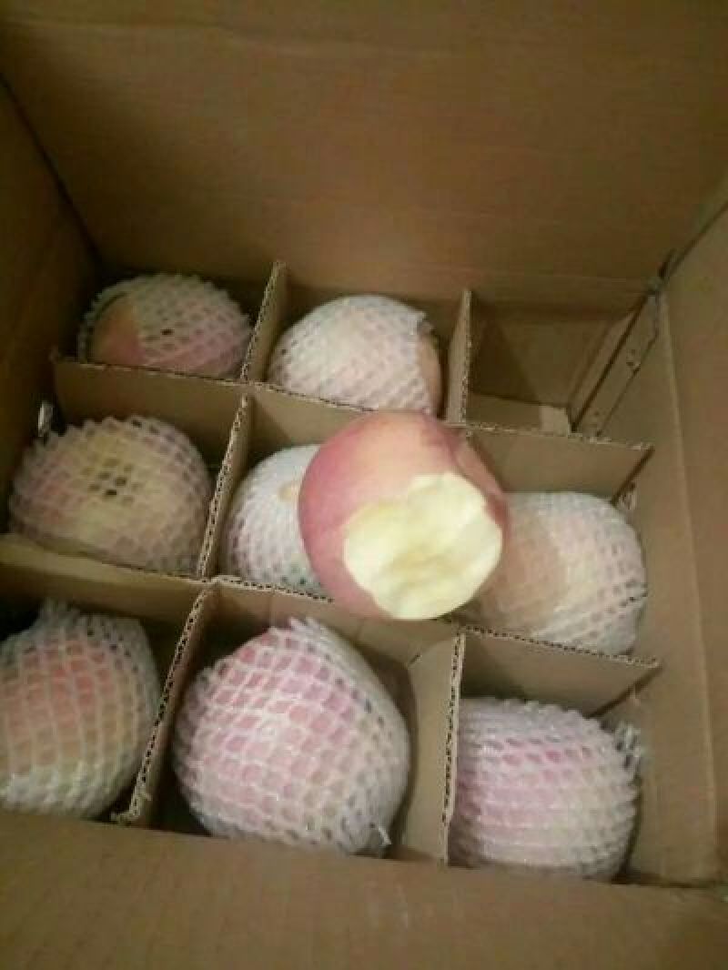 红富士苹果75mm以上膜袋