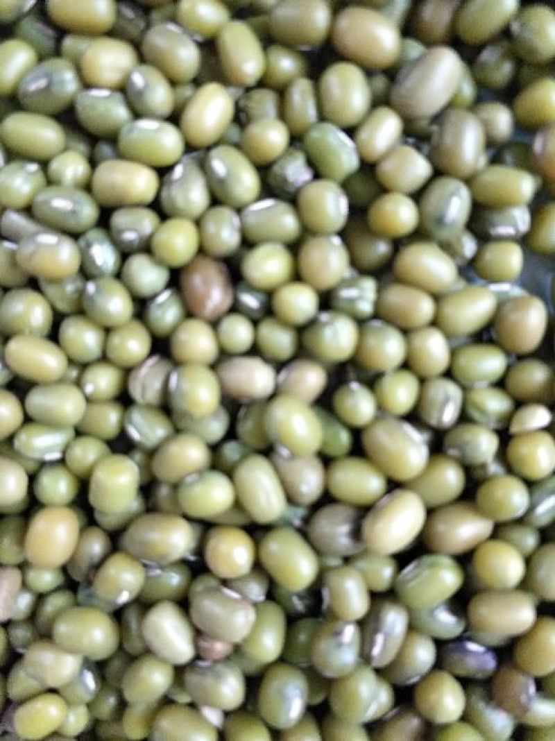 杂绿豆袋装