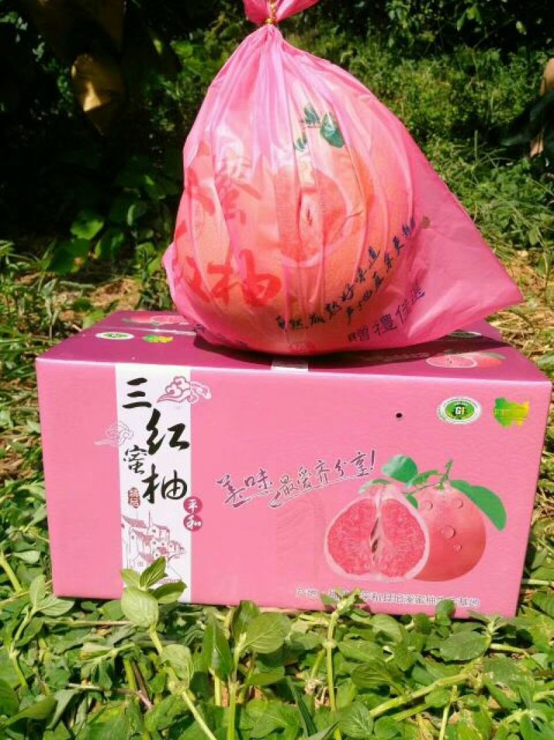 精品蜜柚产地批发看货论价保质保量