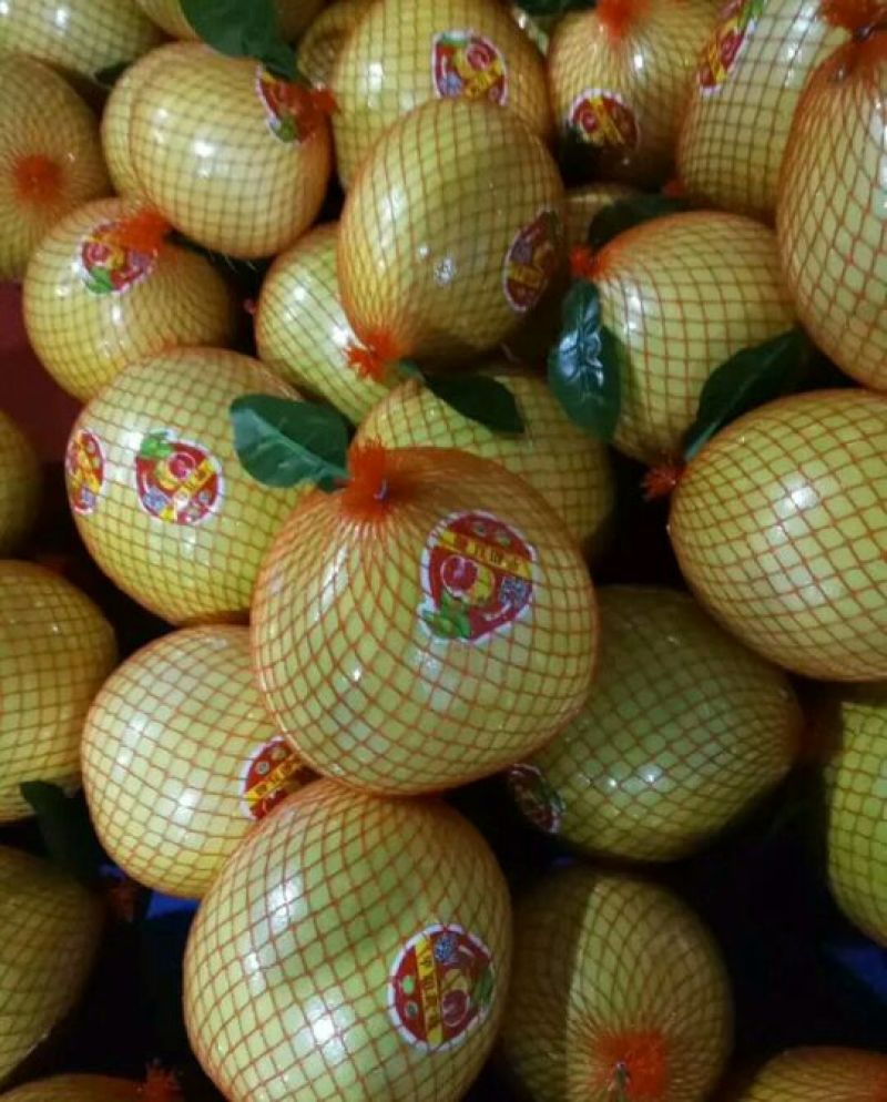 精品蜜柚产地批发看货论价保质保量
