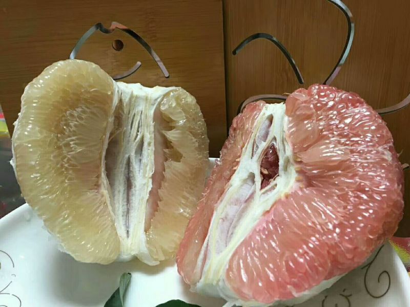 精品蜜柚产地批发看货论价保质保量