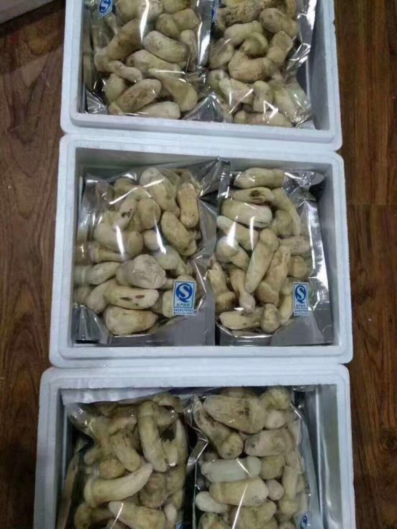 松茸干片