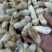松茸干片