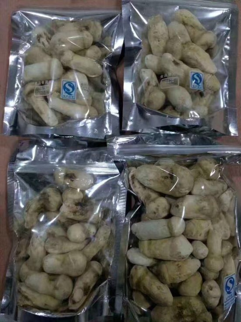 松茸干片