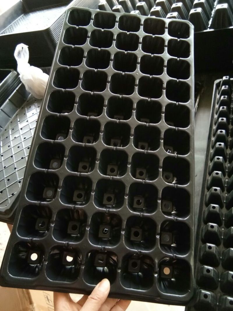 穴盘育苗盘穴盘营养钵塑料蔬菜瓜果苗加厚穴盘