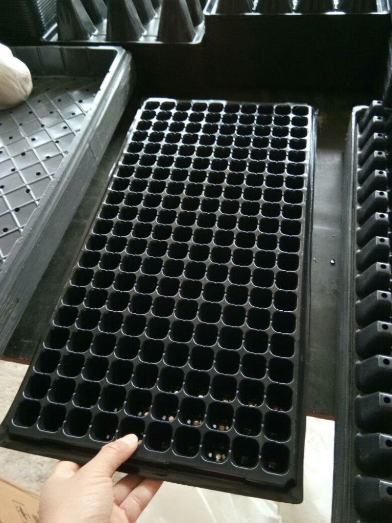 穴盘育苗盘穴盘营养钵塑料蔬菜瓜果苗加厚穴盘
