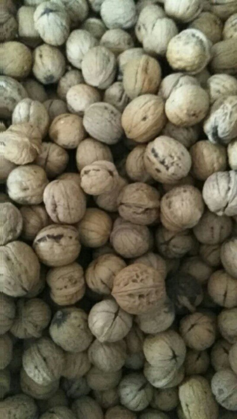 香玲核桃25mm以下去皮干