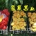 中蟠11号桃树苗黄肉毛蟠桃