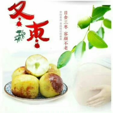 沾化冬枣通货