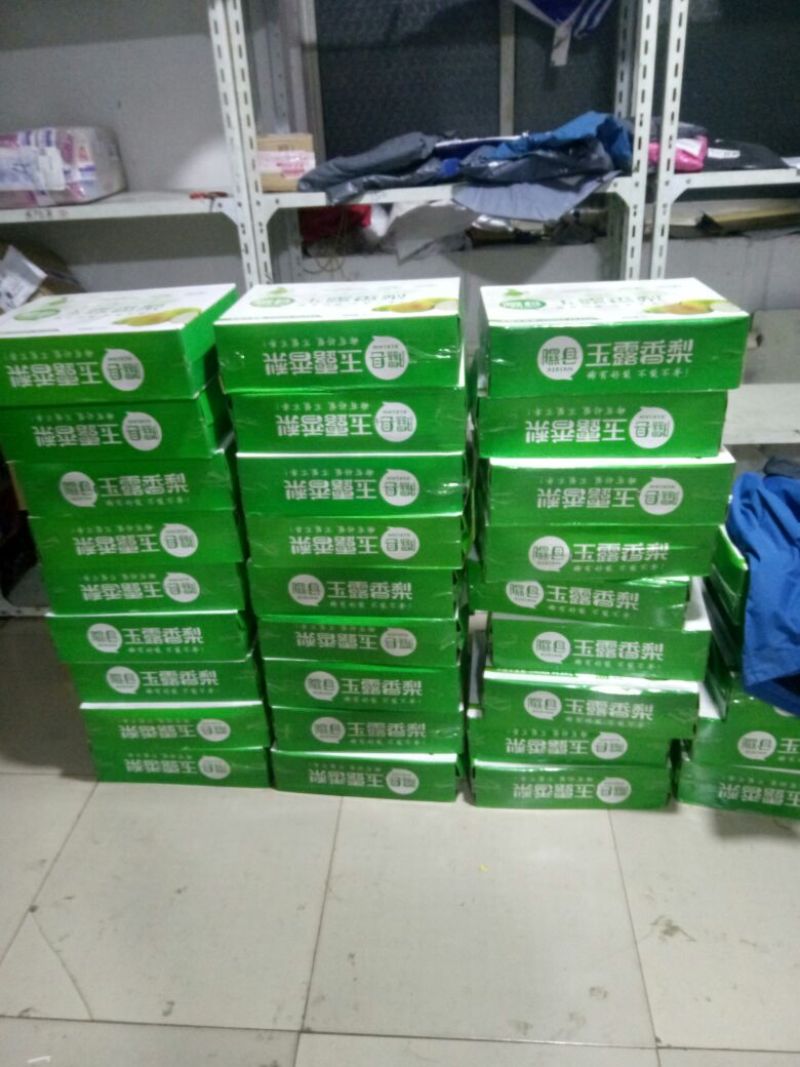 黄土高原隰县玉露香个大皮薄如纸水份足香甜