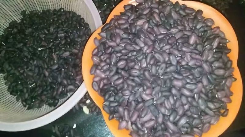 黑花生（包邮）特级净米