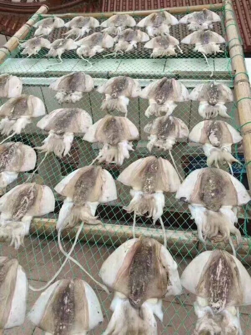 墨鱼干日晒鱼干