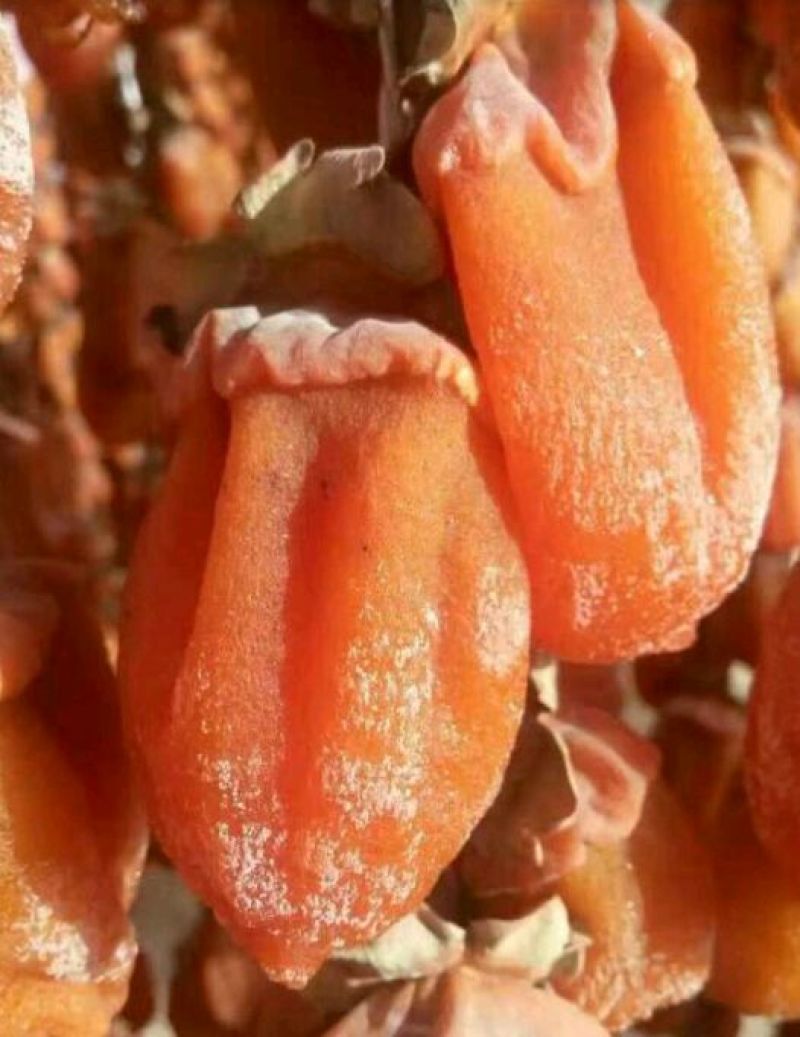 柿饼富平特产