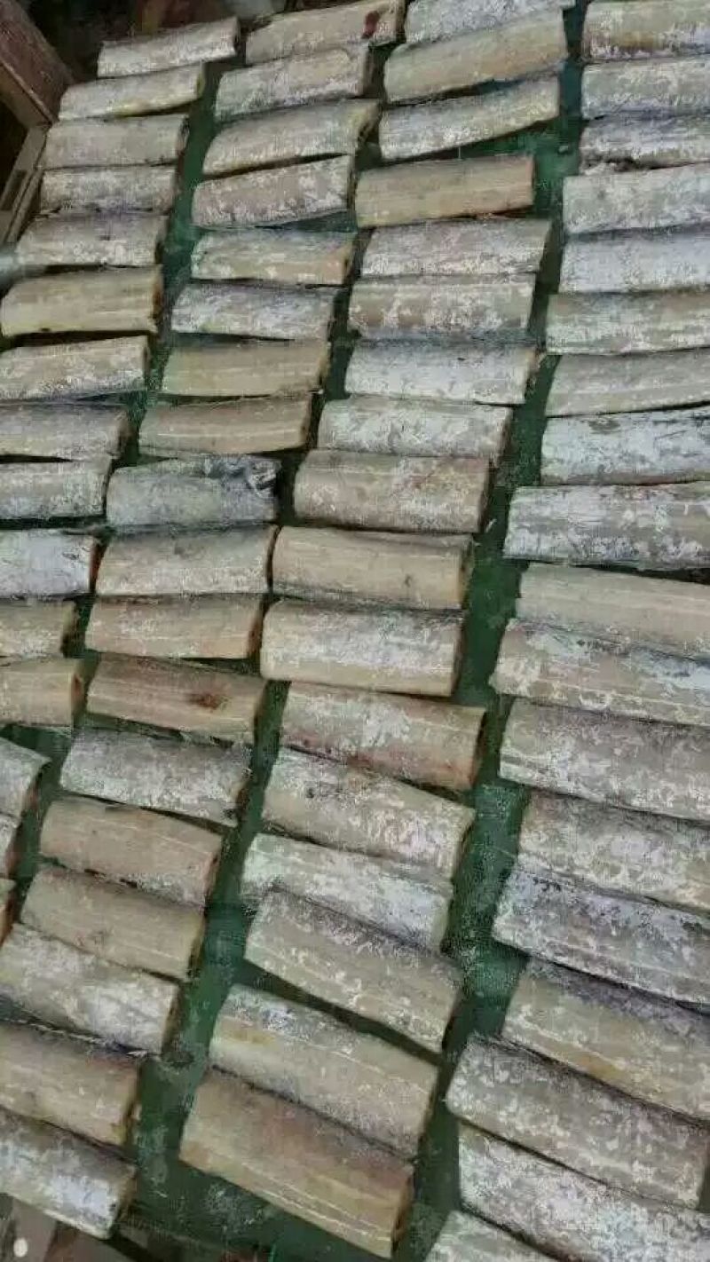 鳗鱼干