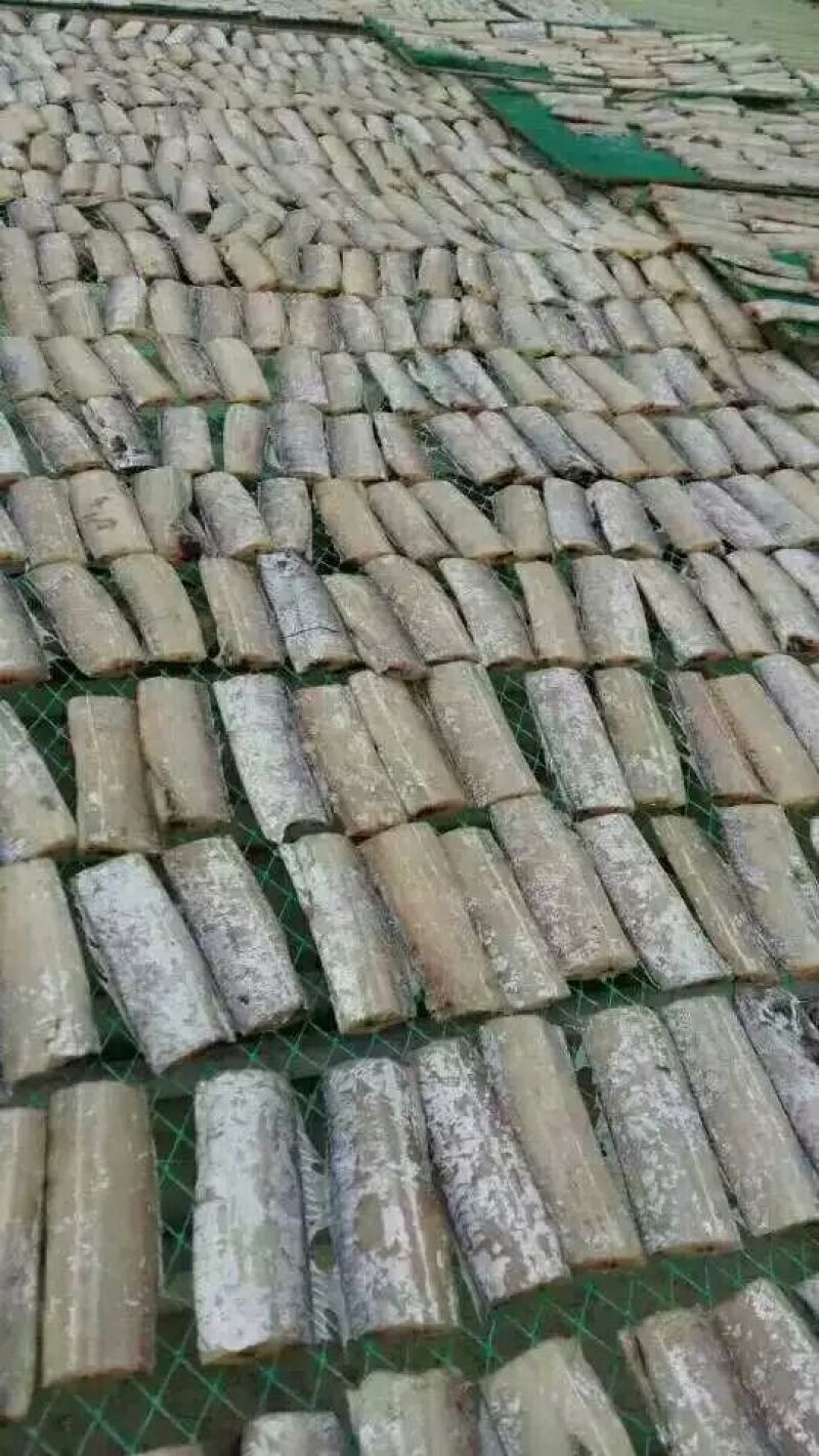 鳗鱼干