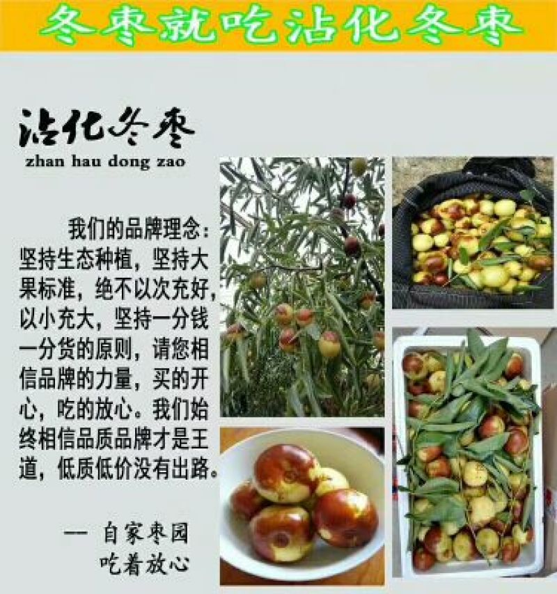 沾化冬枣保证质量，信誉第一