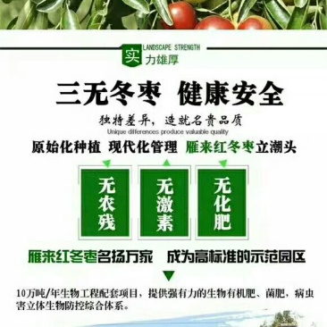 沾化冬枣保证质量，信誉第一