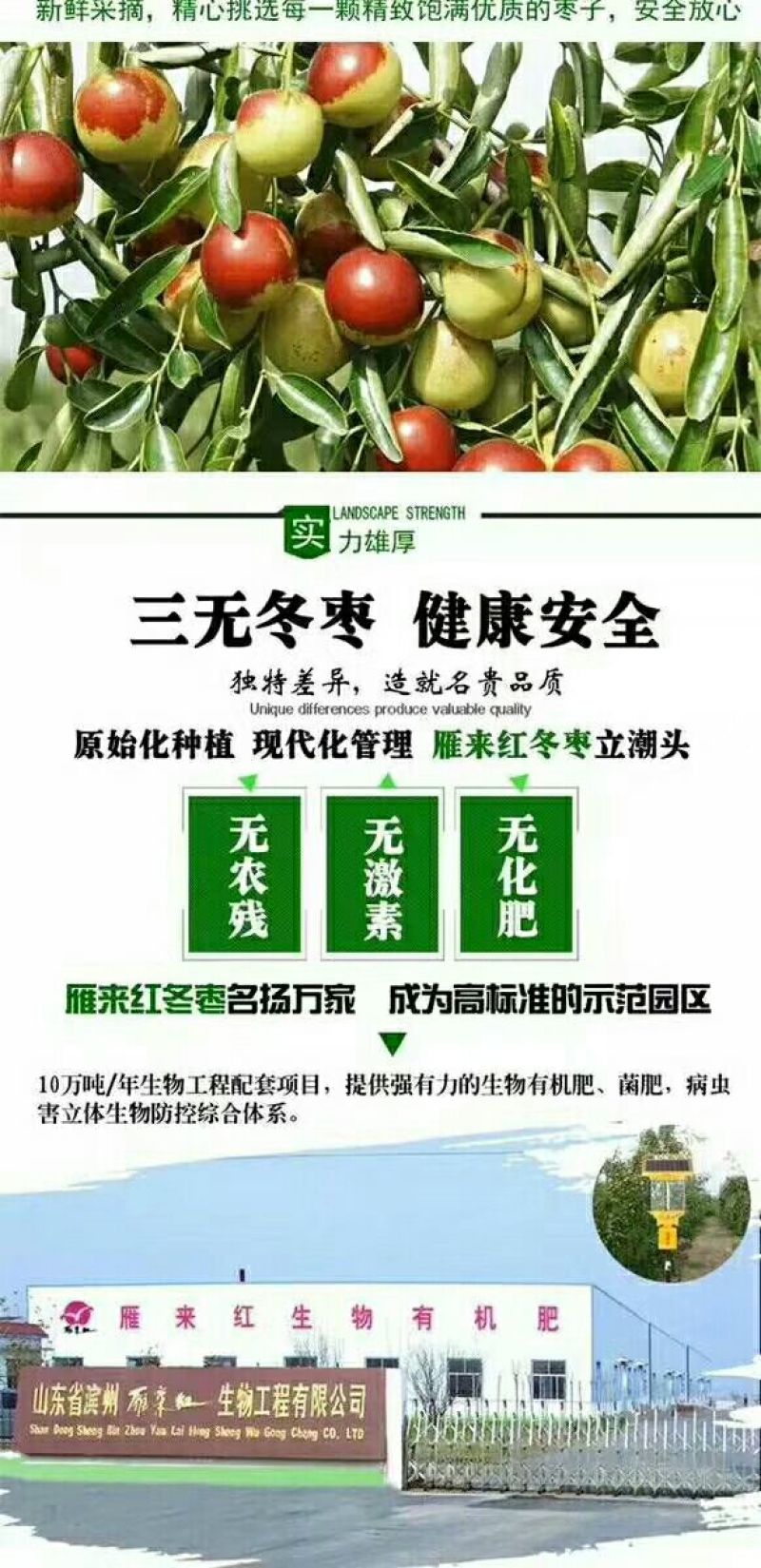 沾化冬枣保证质量，信誉第一