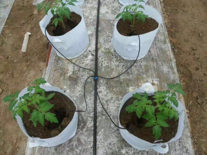 施肥器罐