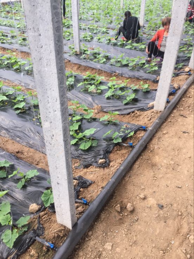施肥器罐