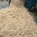 新鲜的鱼腥草编织袋包装